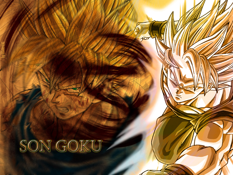 Son Goku Vegeta Wallpaper -038