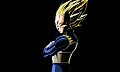 Vegeta Shadow